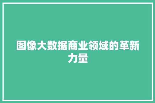 图像大数据商业领域的革新力量  第1张