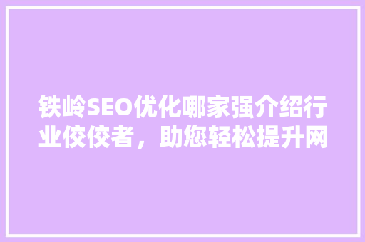 铁岭SEO优化哪家强介绍行业佼佼者，助您轻松提升网站排名