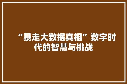 “暴走大数据真相”数字时代的智慧与挑战