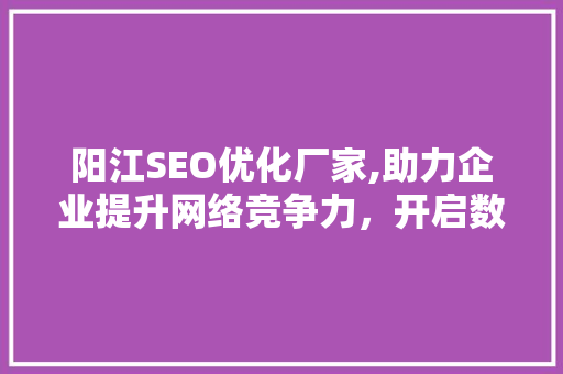 阳江SEO优化厂家,助力企业提升网络竞争力，开启数字化营销新篇章