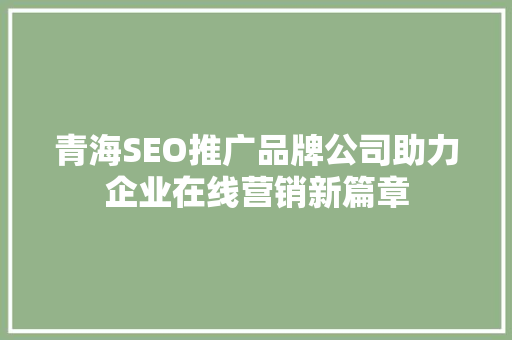 青海SEO推广品牌公司助力企业在线营销新篇章