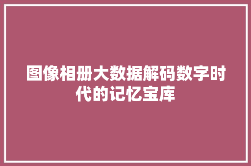图像相册大数据解码数字时代的记忆宝库