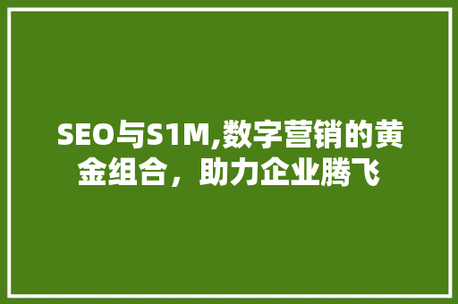 SEO与S1M,数字营销的黄金组合，助力企业腾飞