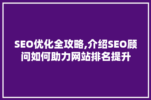 SEO优化全攻略,介绍SEO顾问如何助力网站排名提升  第1张