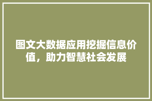 图文大数据应用挖掘信息价值，助力智慧社会发展  第1张