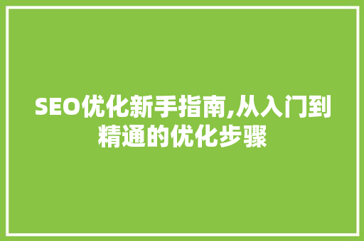 SEO优化新手指南,从入门到精通的优化步骤