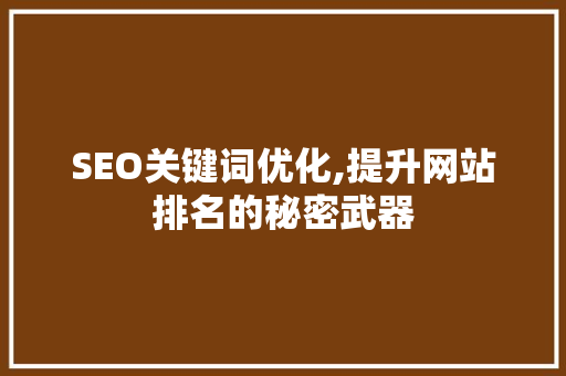 SEO关键词优化,提升网站排名的秘密武器