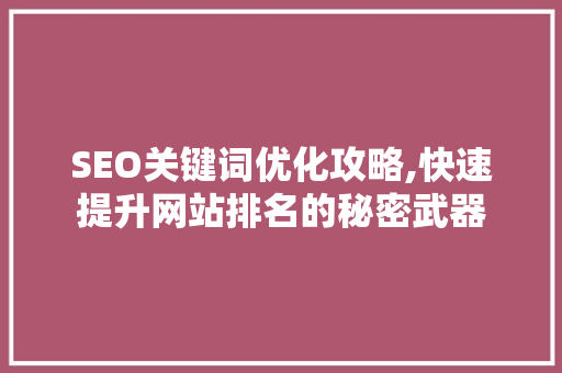 SEO关键词优化攻略,快速提升网站排名的秘密武器