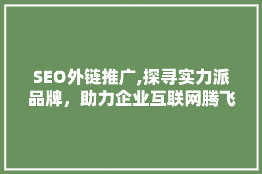 SEO外链推广,探寻实力派品牌，助力企业互联网腾飞