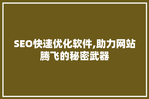 SEO快速优化软件,助力网站腾飞的秘密武器