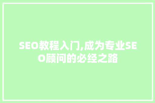 SEO教程入门,成为专业SEO顾问的必经之路