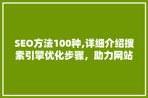 SEO方法100种,详细介绍搜索引擎优化步骤，助力网站排名提升