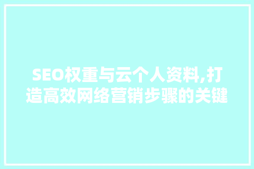 SEO权重与云个人资料,打造高效网络营销步骤的关键