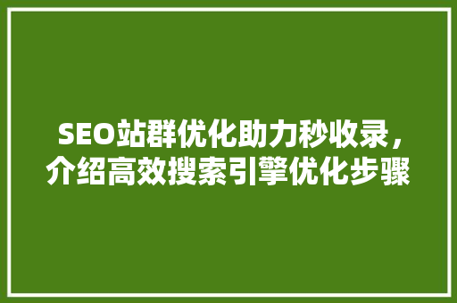 SEO站群优化助力秒收录，介绍高效搜索引擎优化步骤