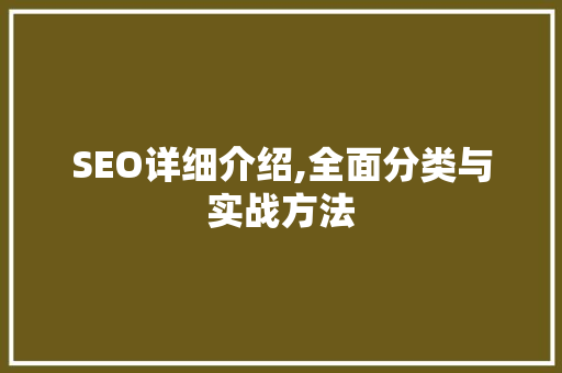 SEO详细介绍,全面分类与实战方法