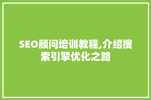 SEO顾问培训教程,介绍搜索引擎优化之路  第1张
