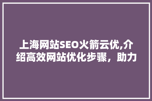 上海网站SEO火箭云优,介绍高效网站优化步骤，助力企业腾飞
