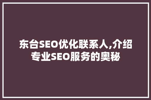 东台SEO优化联系人,介绍专业SEO服务的奥秘