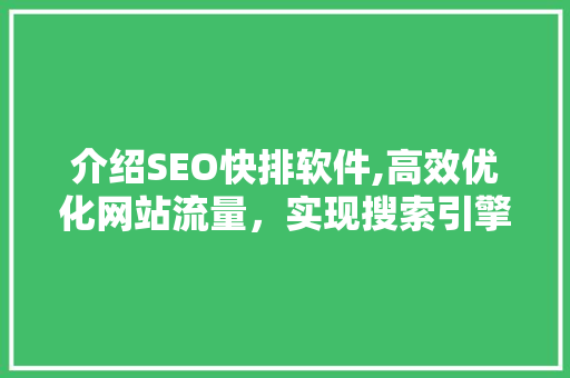 介绍SEO快排软件,高效优化网站流量，实现搜索引擎快速排名