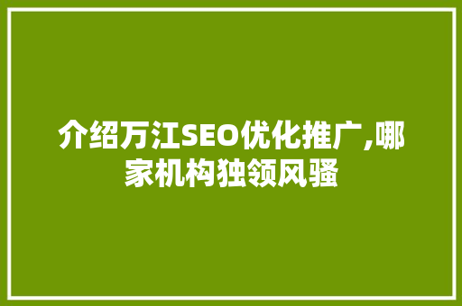介绍万江SEO优化推广,哪家机构独领风骚