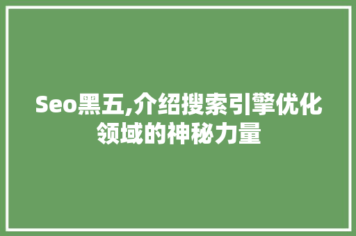 Seo黑五,介绍搜索引擎优化领域的神秘力量