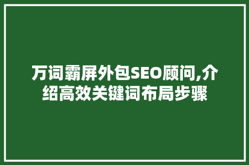 万词霸屏外包SEO顾问,介绍高效关键词布局步骤