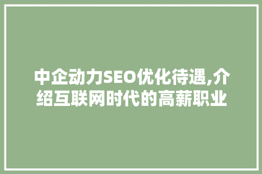 中企动力SEO优化待遇,介绍互联网时代的高薪职业