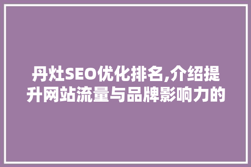 丹灶SEO优化排名,介绍提升网站流量与品牌影响力的方法  第1张