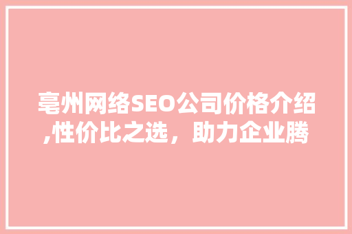 亳州网络SEO公司价格介绍,性价比之选，助力企业腾飞