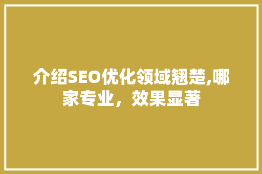 介绍SEO优化领域翘楚,哪家专业，效果显著