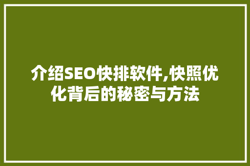 介绍SEO快排软件,快照优化背后的秘密与方法