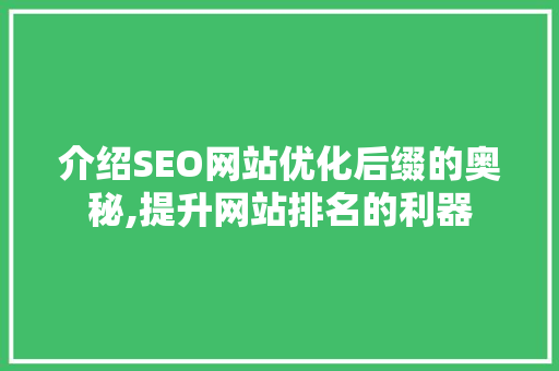 介绍SEO网站优化后缀的奥秘,提升网站排名的利器