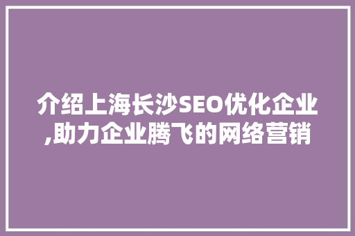 介绍上海长沙SEO优化企业,助力企业腾飞的网络营销之路
