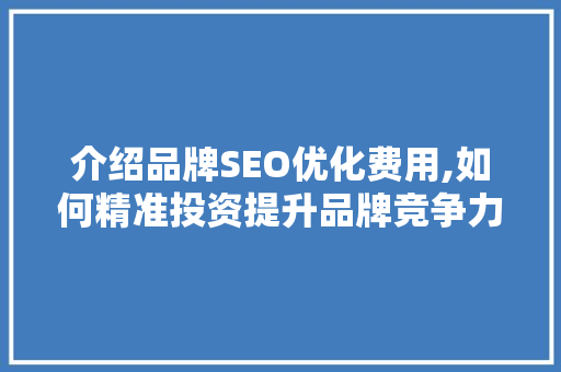 介绍品牌SEO优化费用,如何精准投资提升品牌竞争力