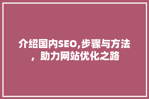 介绍国内SEO,步骤与方法，助力网站优化之路