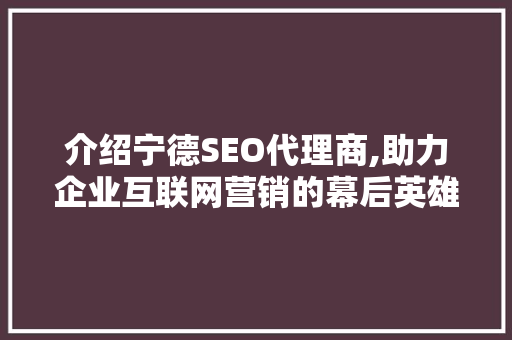 介绍宁德SEO代理商,助力企业互联网营销的幕后英雄