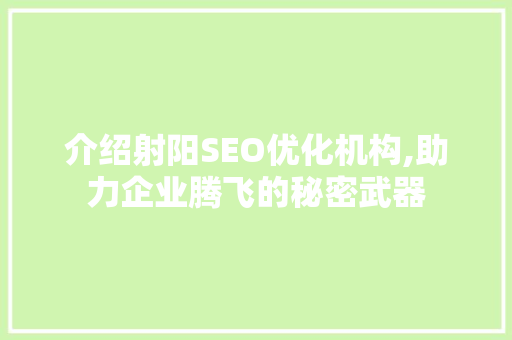 介绍射阳SEO优化机构,助力企业腾飞的秘密武器