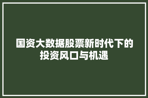 国资大数据股票新时代下的投资风口与机遇  第1张