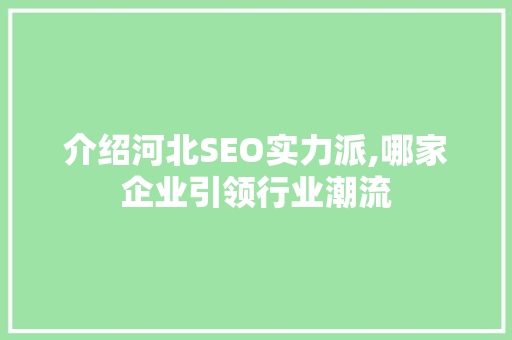 介绍河北SEO实力派,哪家企业引领行业潮流