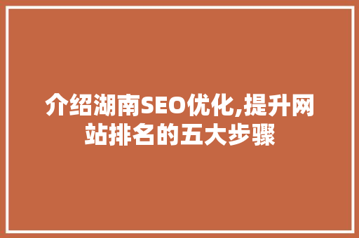 介绍湖南SEO优化,提升网站排名的五大步骤