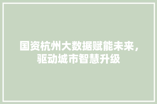 国资杭州大数据赋能未来，驱动城市智慧升级  第1张