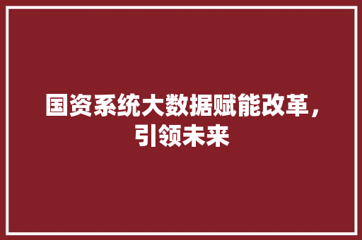 国资系统大数据赋能改革，引领未来