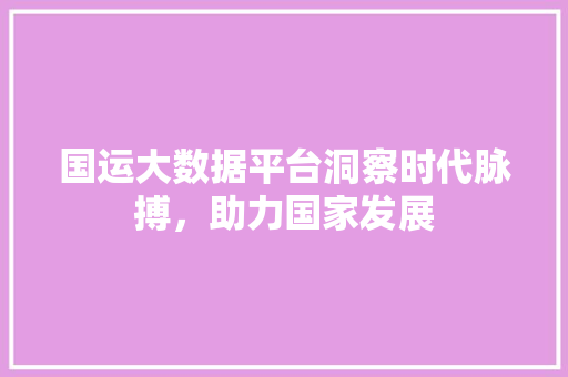 国运大数据平台洞察时代脉搏，助力国家发展  第1张