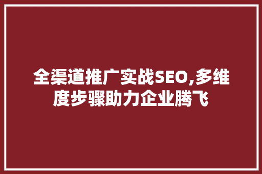 全渠道推广实战SEO,多维度步骤助力企业腾飞