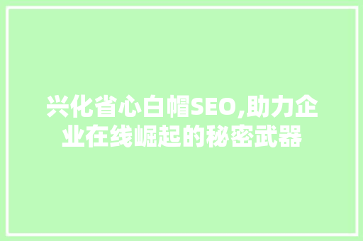 兴化省心白帽SEO,助力企业在线崛起的秘密武器