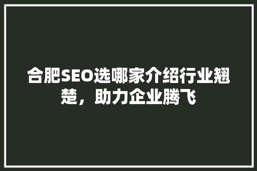 合肥SEO选哪家介绍行业翘楚，助力企业腾飞  第1张