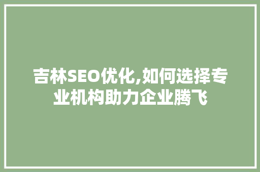吉林SEO优化,如何选择专业机构助力企业腾飞
