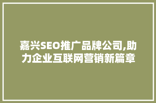 嘉兴SEO推广品牌公司,助力企业互联网营销新篇章