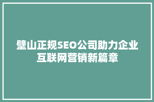 壁山正规SEO公司助力企业互联网营销新篇章  第1张