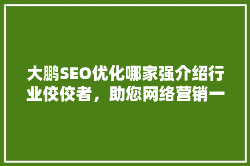 大鹏SEO优化哪家强介绍行业佼佼者，助您网络营销一臂之力